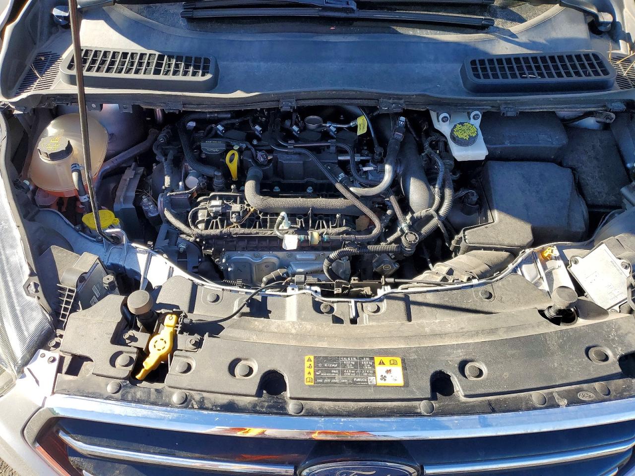 2019 FORD ESCAPE SE photo 12