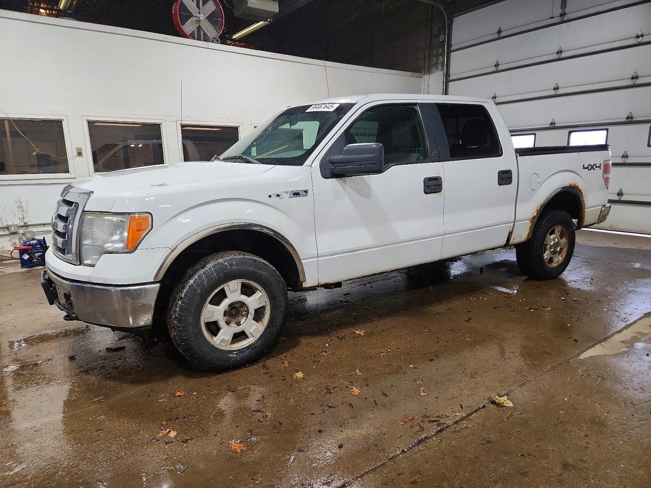 2010 FORD F150