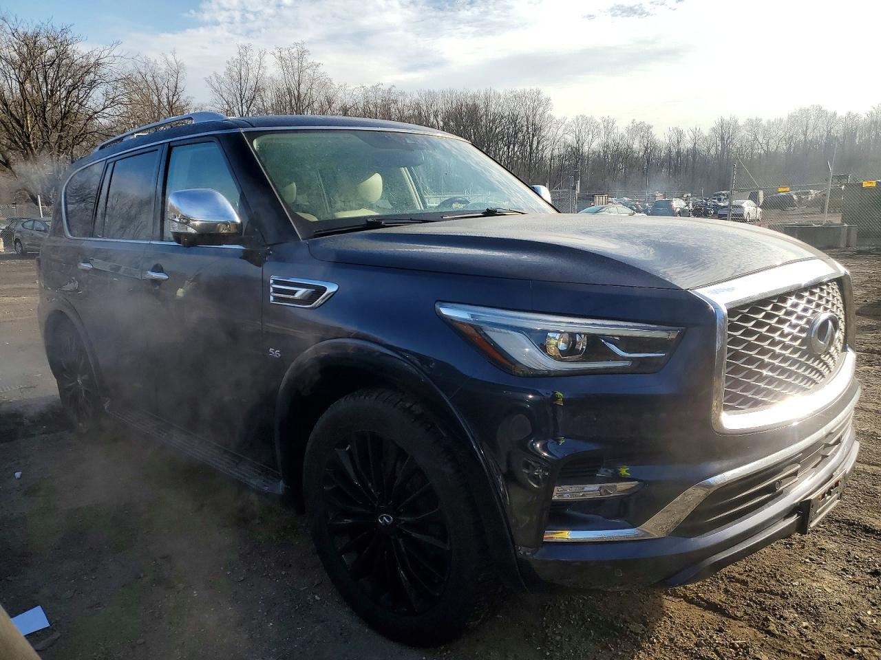 2019 INFINITI QX80 LUXE photo 7