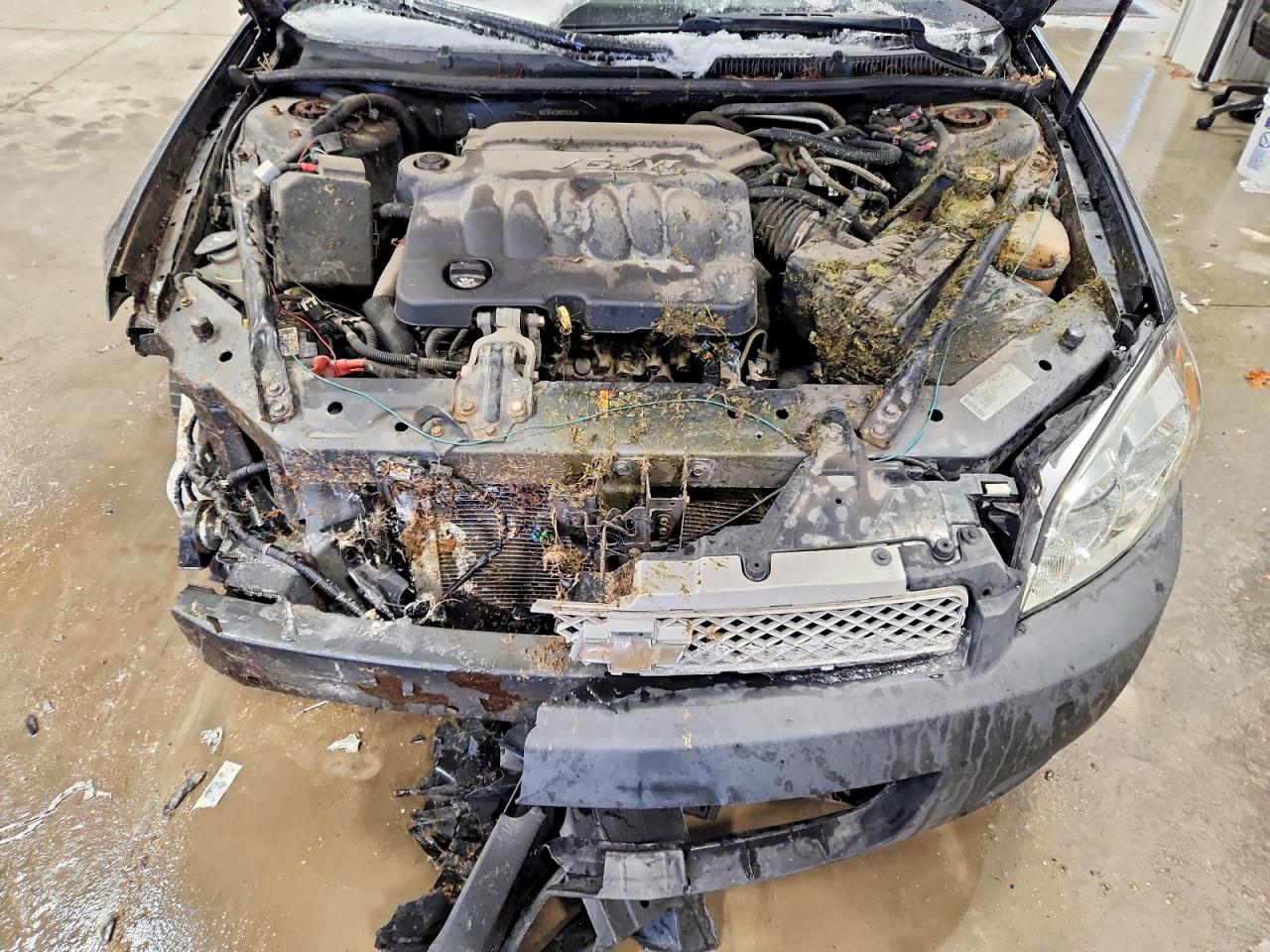 2013 CHEVROLET IMPALA LS photo 11