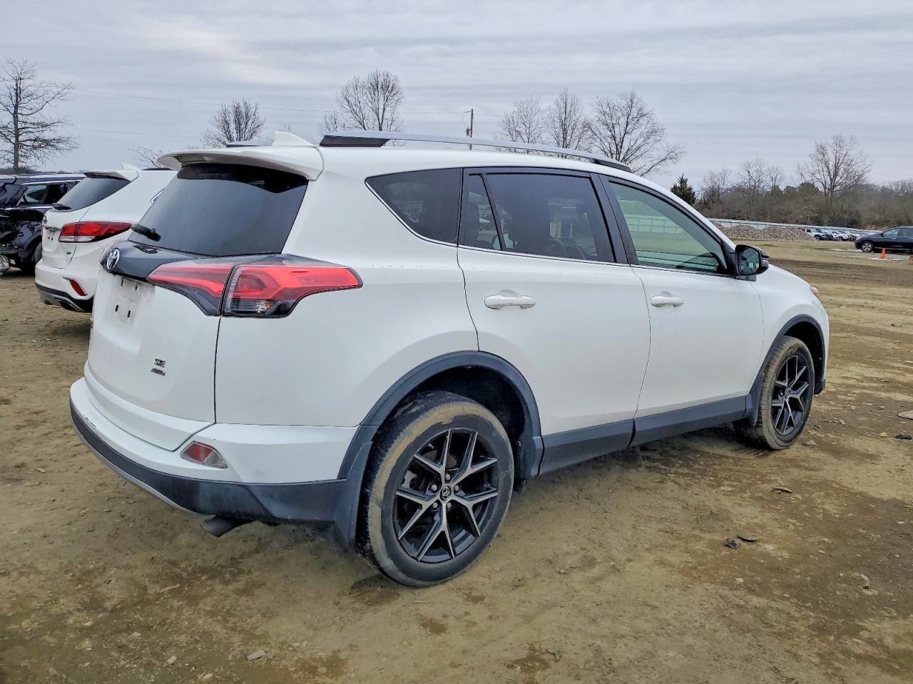 2018 TOYOTA RAV4 SE photo 3