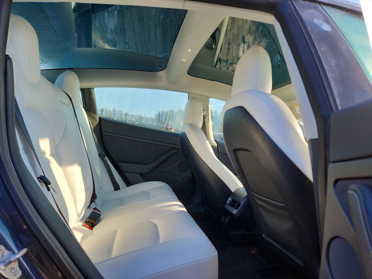 2022 TESLA MODEL 3 photo 19