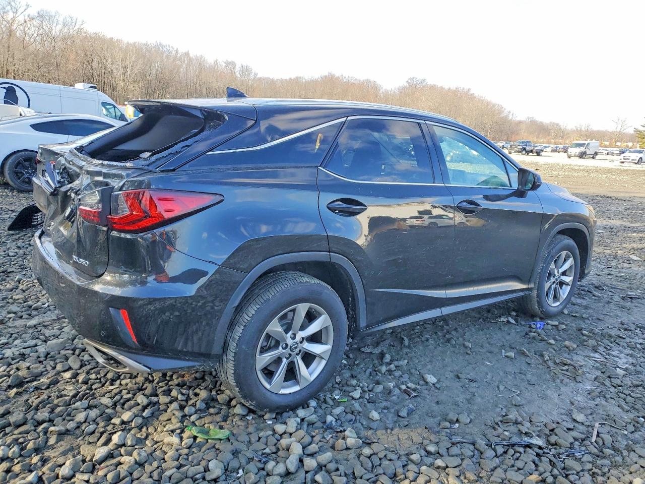 2019 LEXUS RX 350 BASE photo 3
