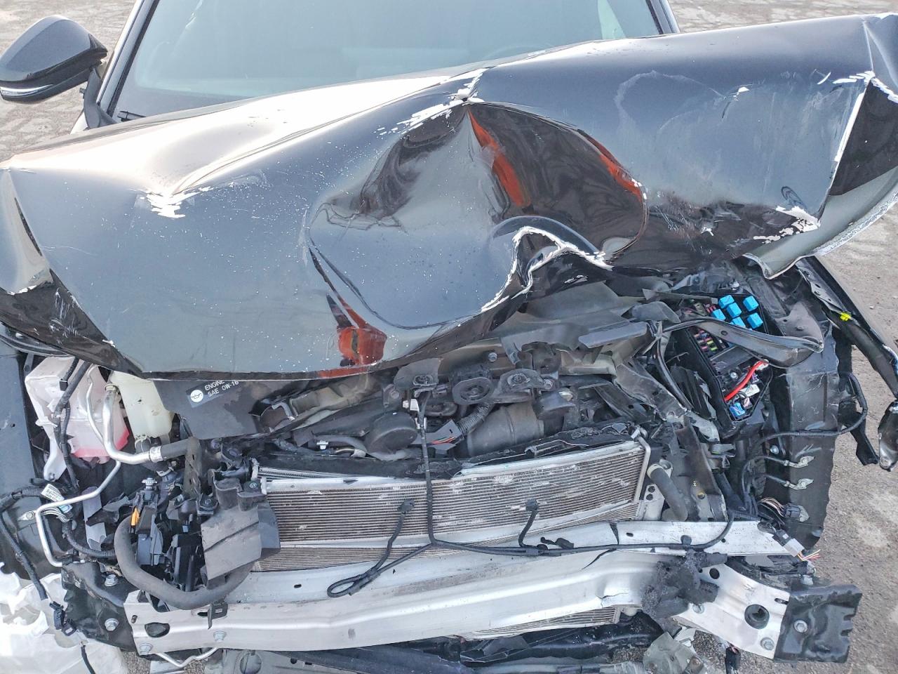 2021 TOYOTA VENZA LE photo 12