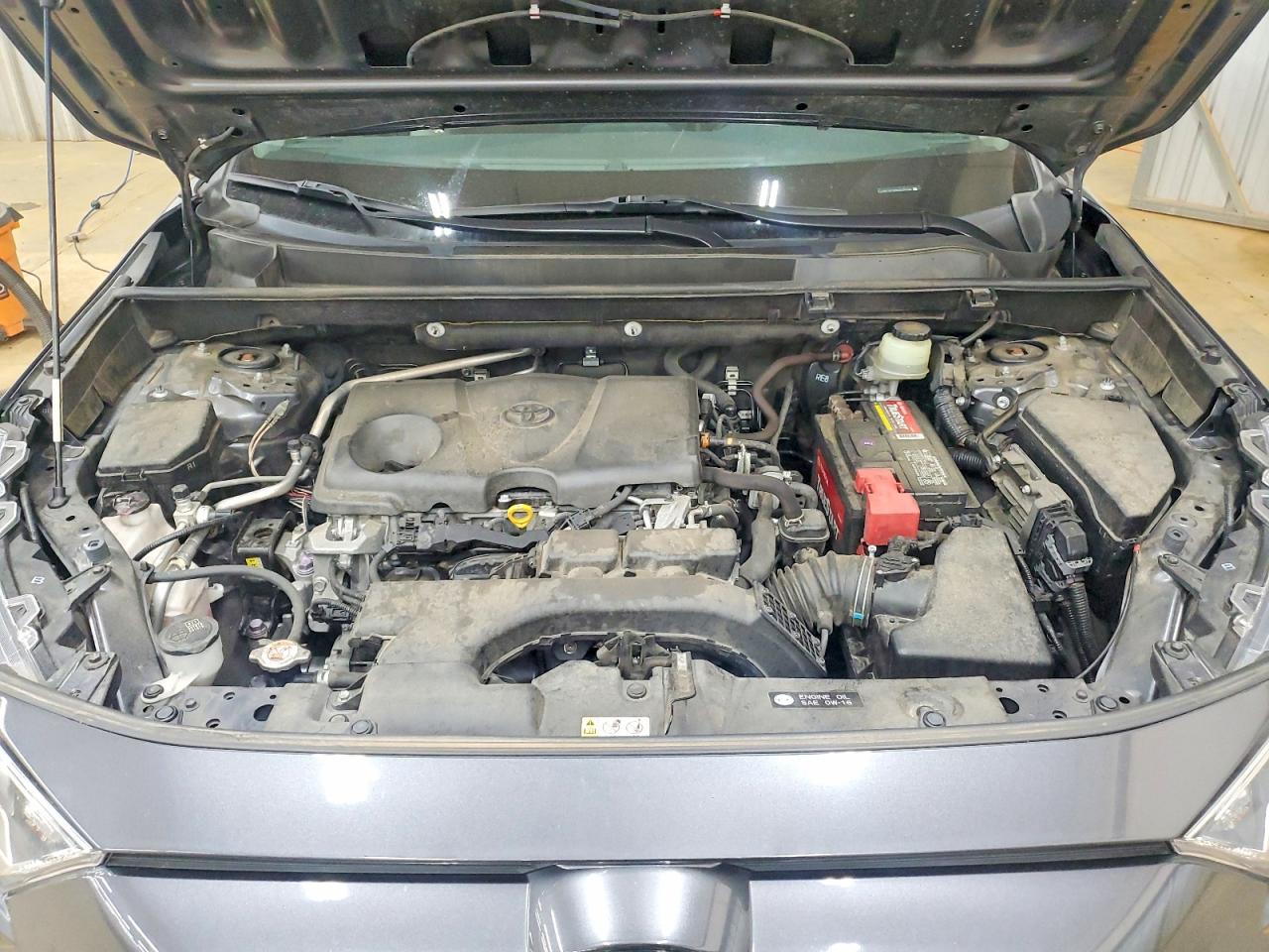 2019 TOYOTA RAV4 XLE photo 12