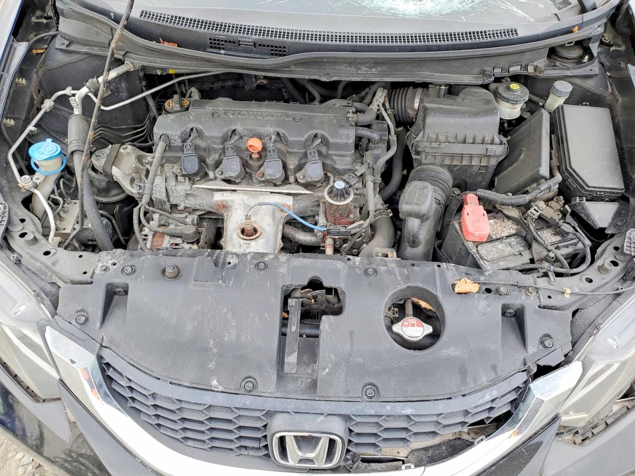 2014 HONDA CIVIC LX photo 11