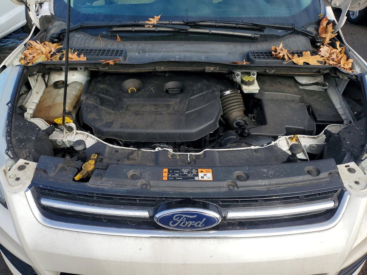 2015 FORD ESCAPE TITANIUM photo 12