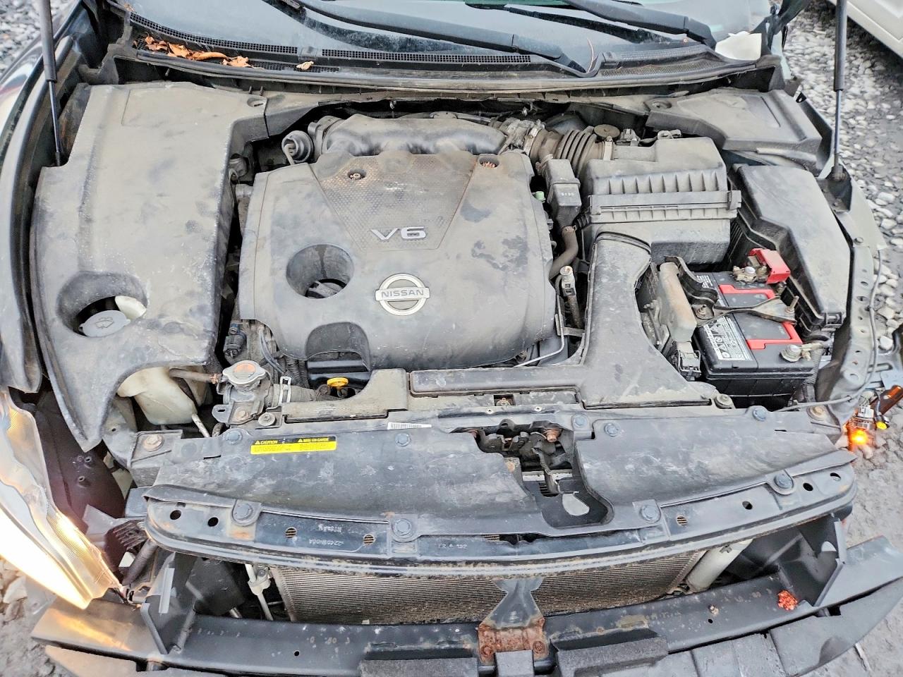 2010 NISSAN MAXIMA S photo 11