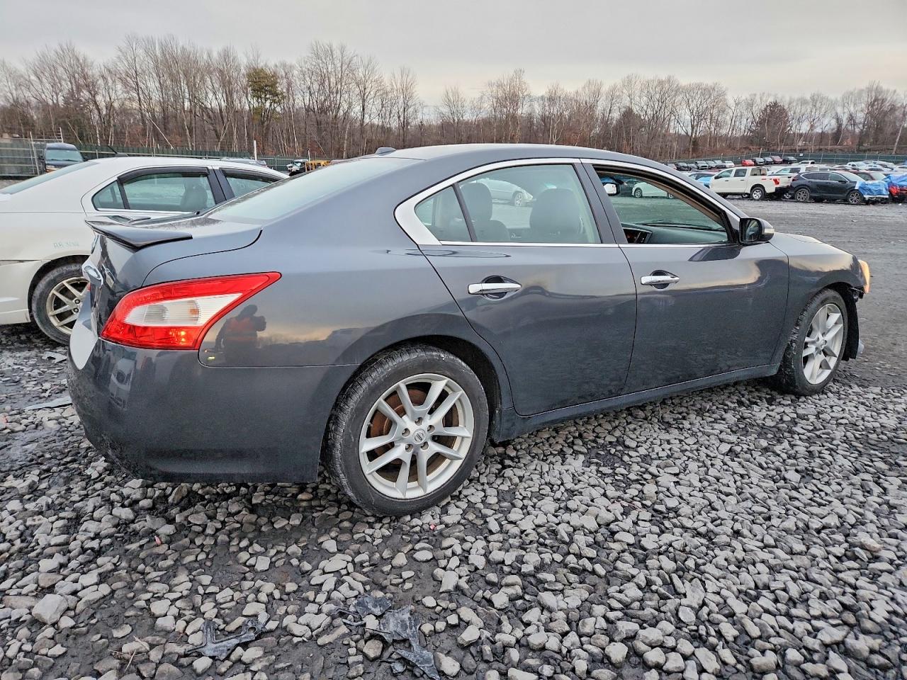 2010 NISSAN MAXIMA S photo 3