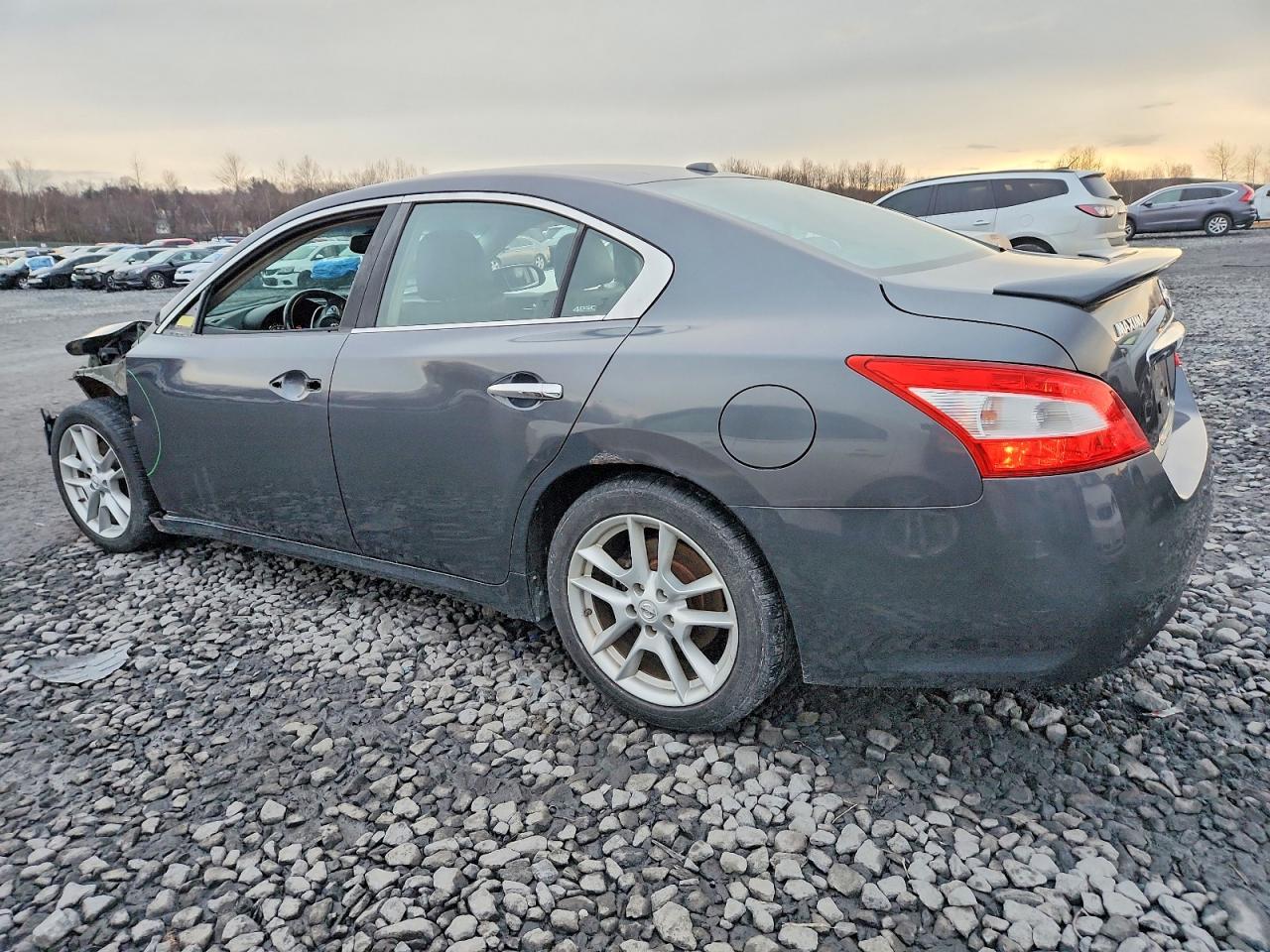 2010 NISSAN MAXIMA S photo 2