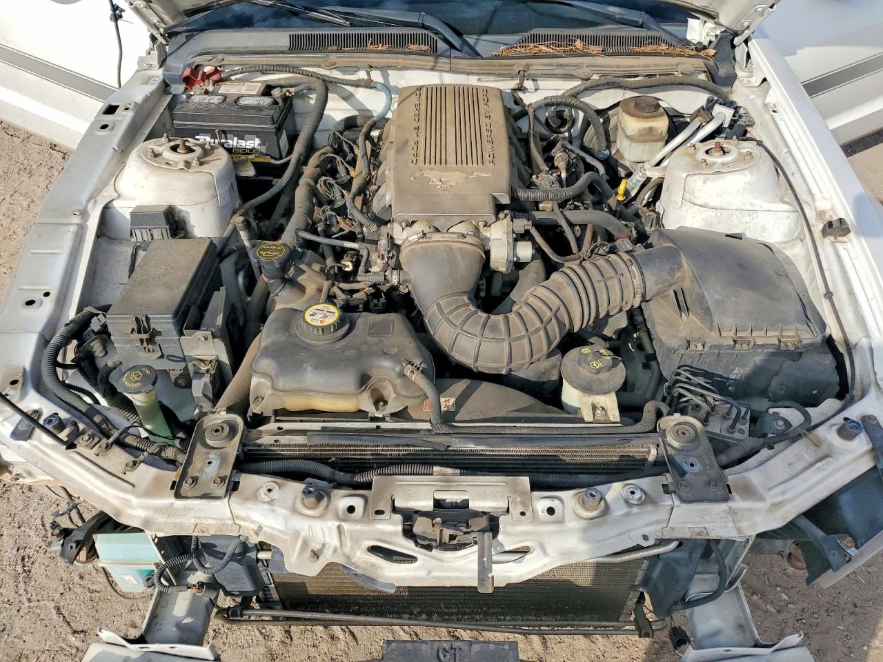 2008 FORD MUSTANG GT photo 11