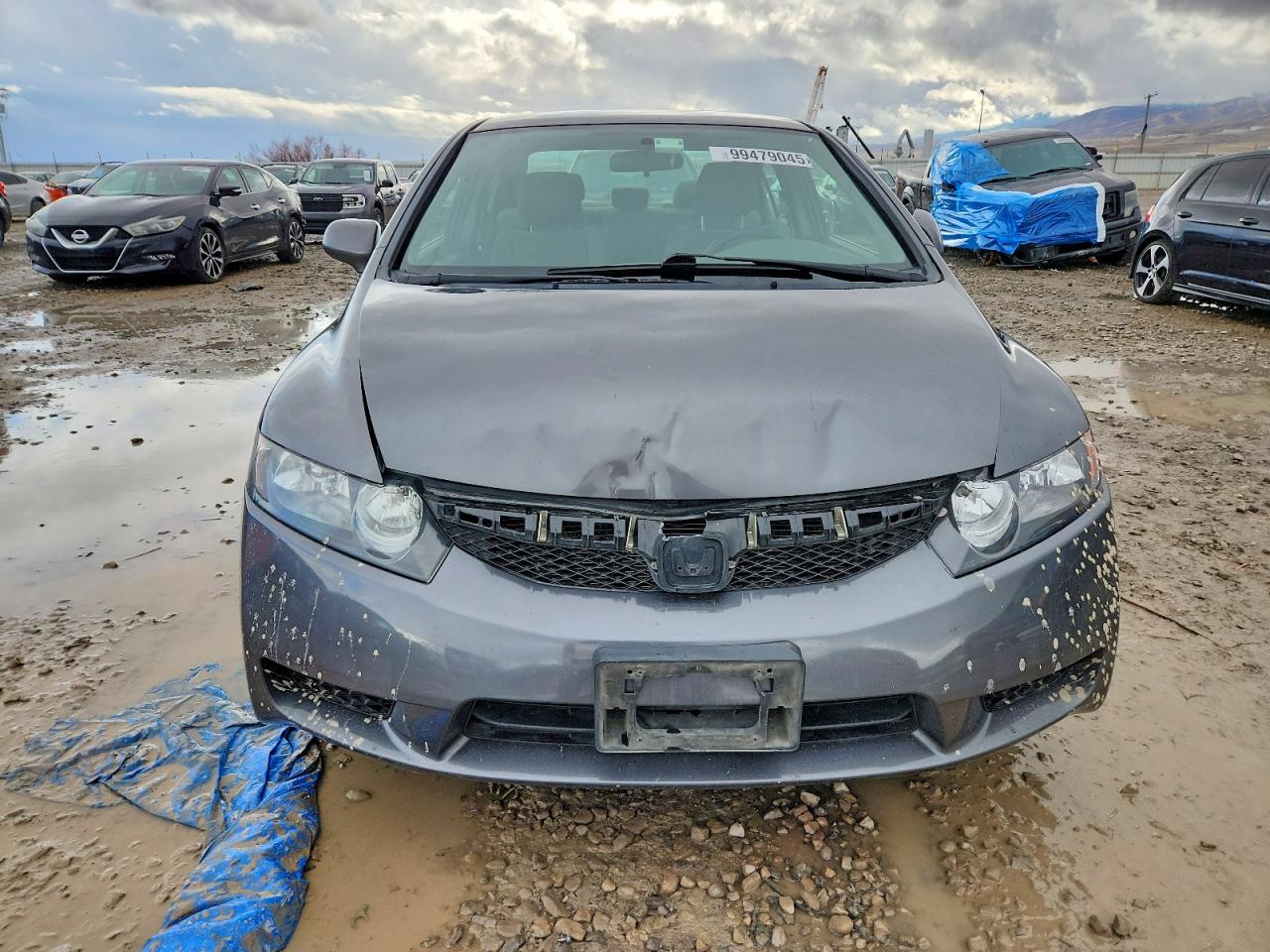 2010 HONDA CIVIC LX photo 5