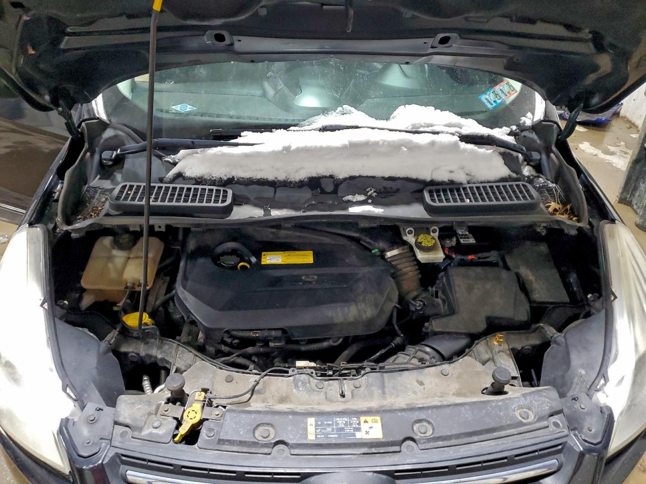2015 FORD ESCAPE SE photo 12