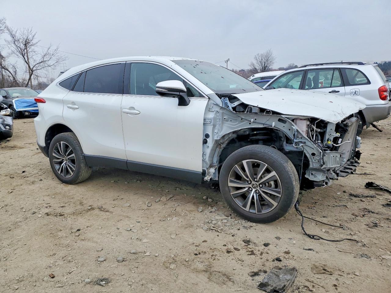 2023 TOYOTA VENZA LE photo 4