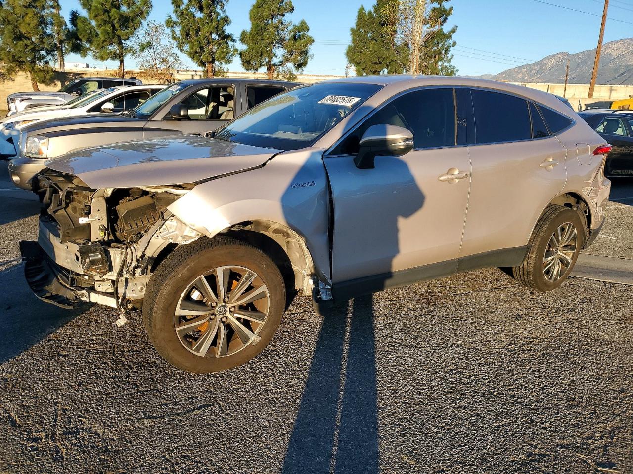2021 TOYOTA VENZA