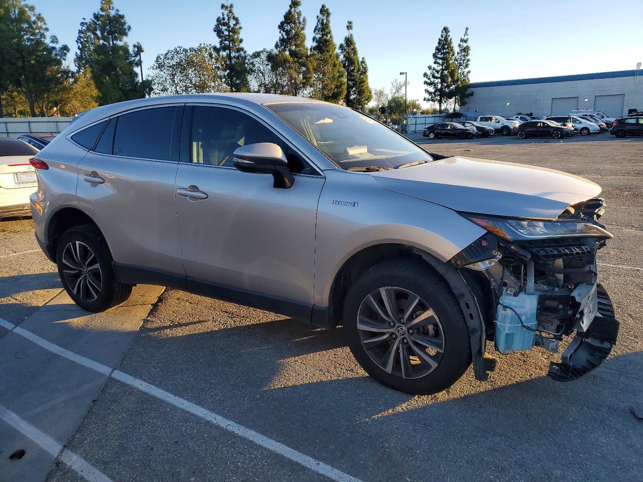 2021 TOYOTA VENZA LE photo 4