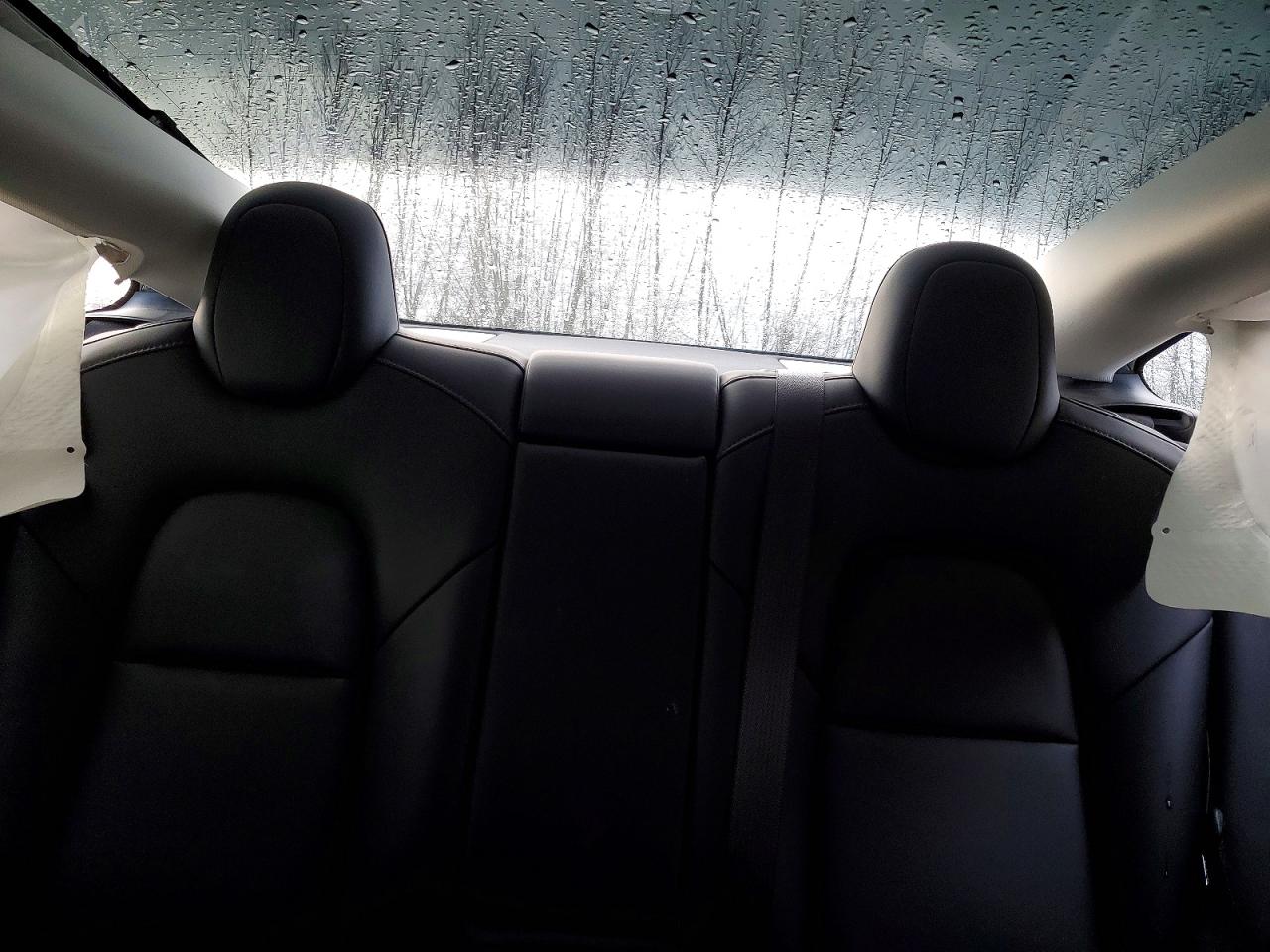 2021 TESLA MODEL 3 photo 19