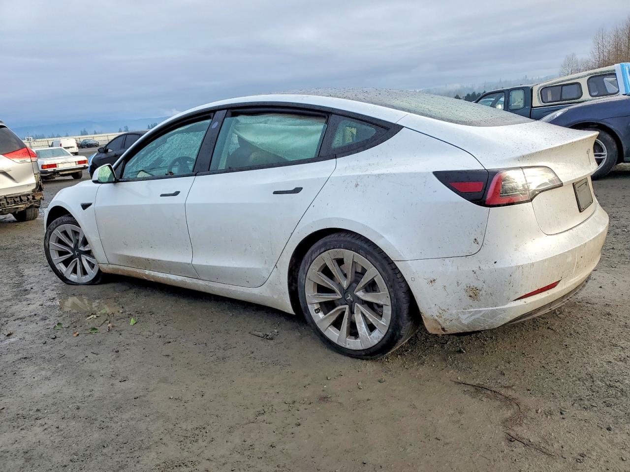 2021 TESLA MODEL 3 photo 3