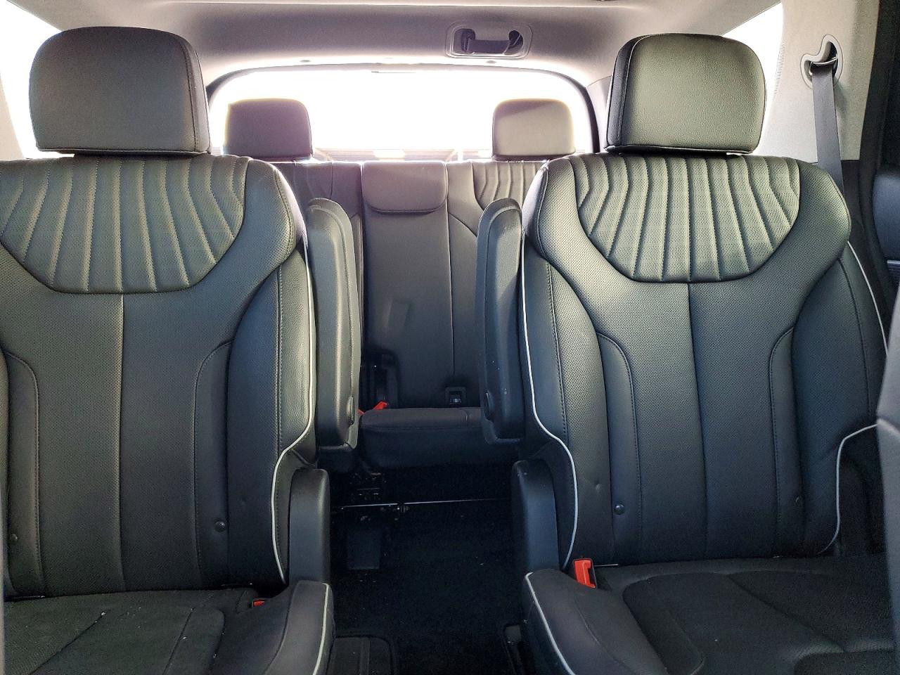 2024 HYUNDAI PALISADE LIMITED photo 10