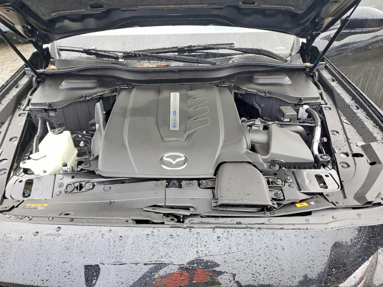 2025 MAZDA CX-90 PREMIUM SPORT photo 12
