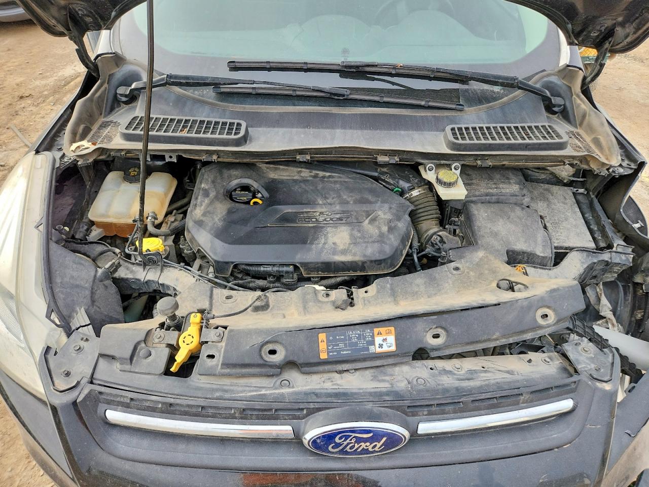2014 FORD ESCAPE SE photo 12