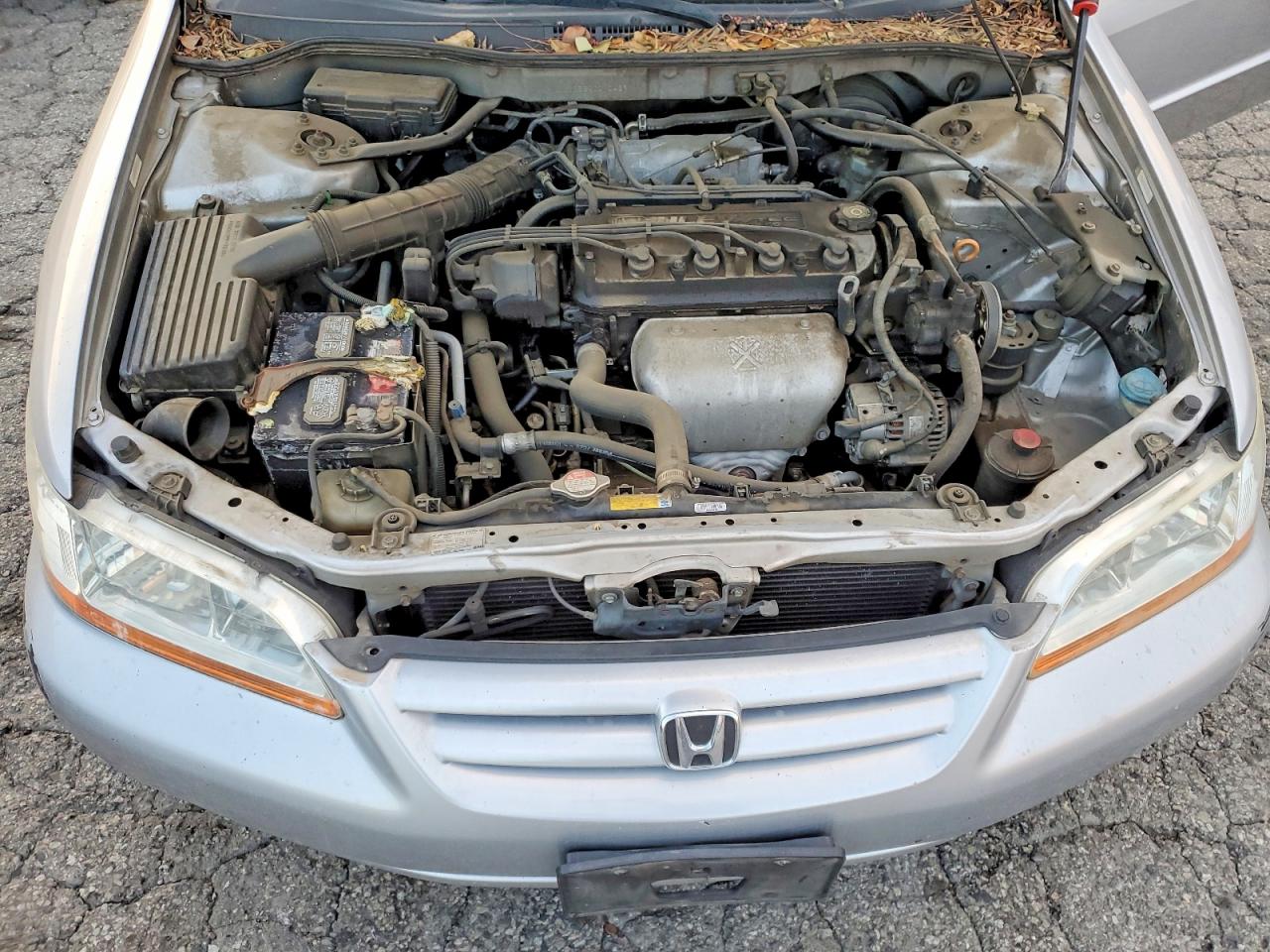 2002 HONDA ACCORD LX photo 11