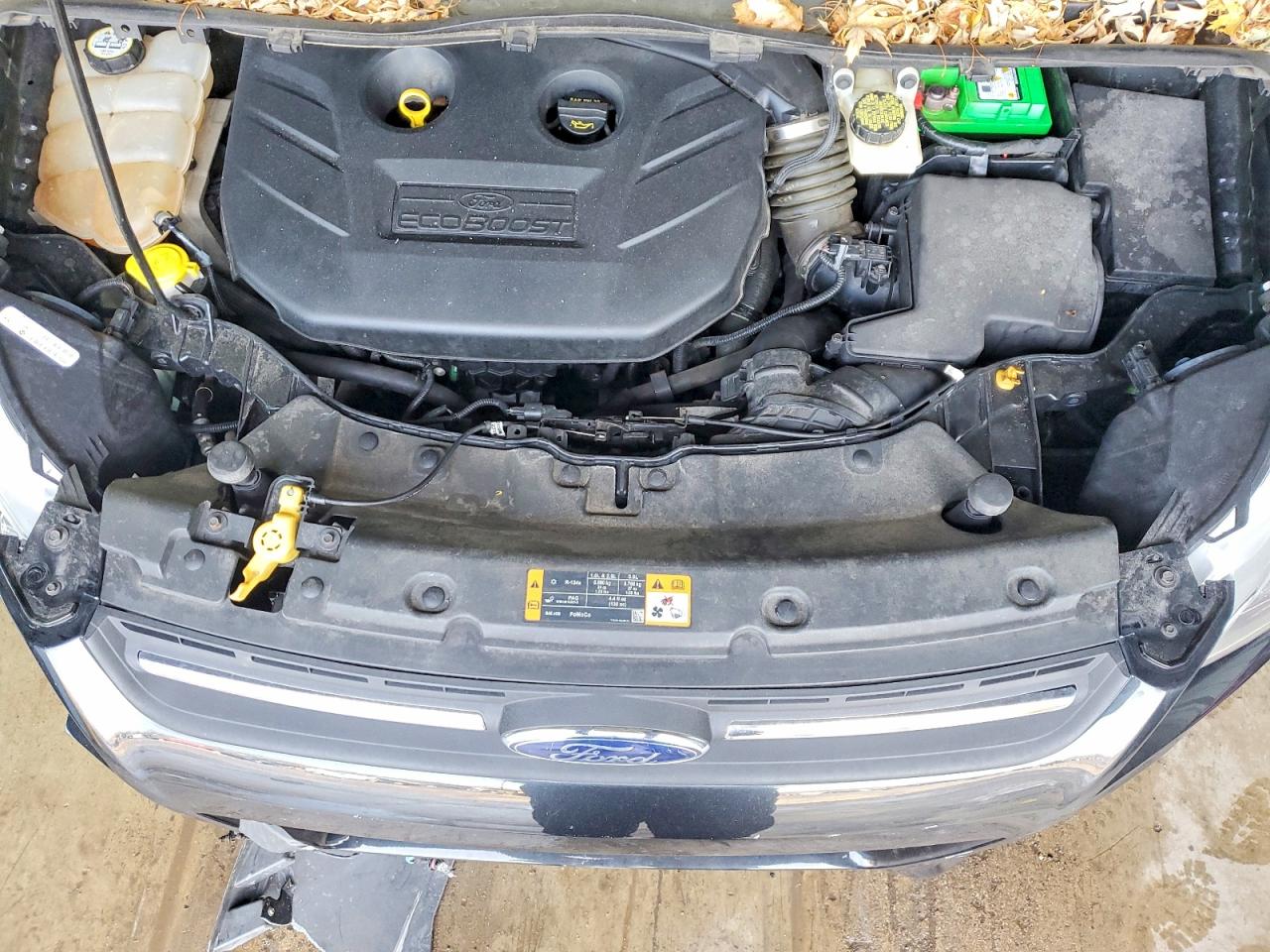 2013 FORD ESCAPE SE photo 12