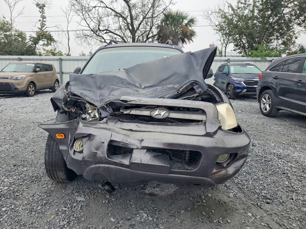2006 HYUNDAI SANTA FE GLS photo 5