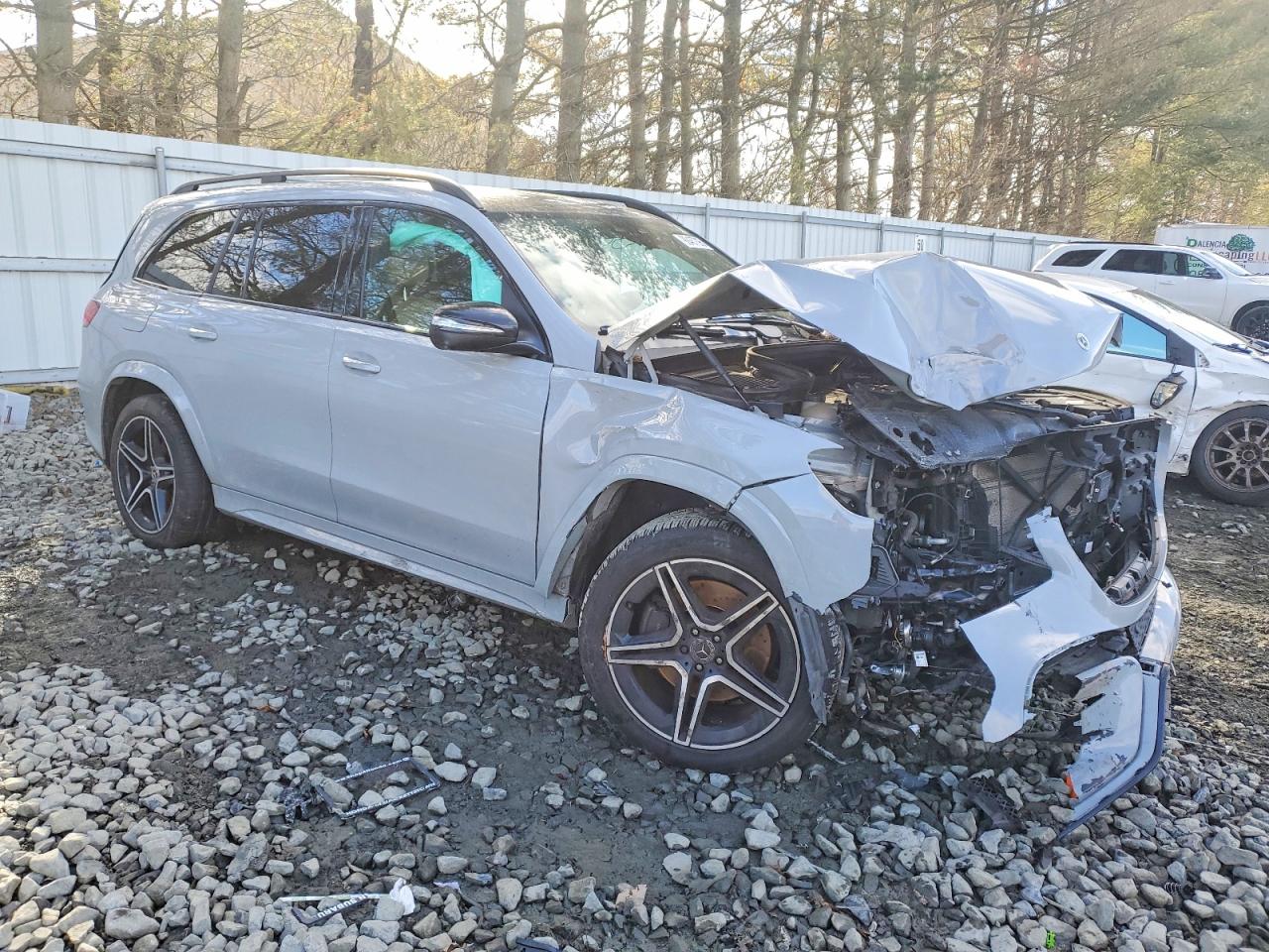 2024 MERCEDES-BENZ GLS 450 4MATIC photo 10