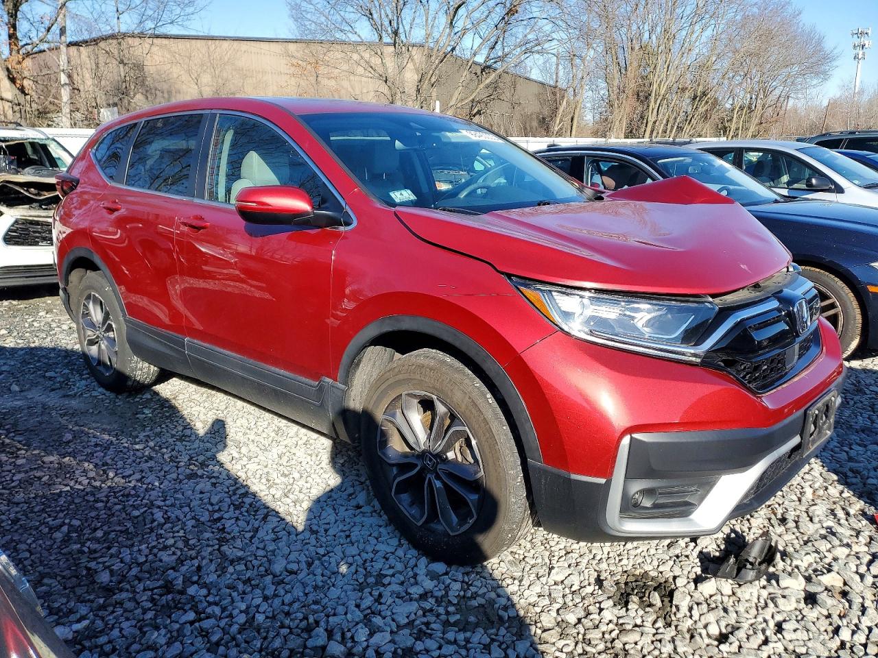 2020 HONDA CR-V EXL photo 4