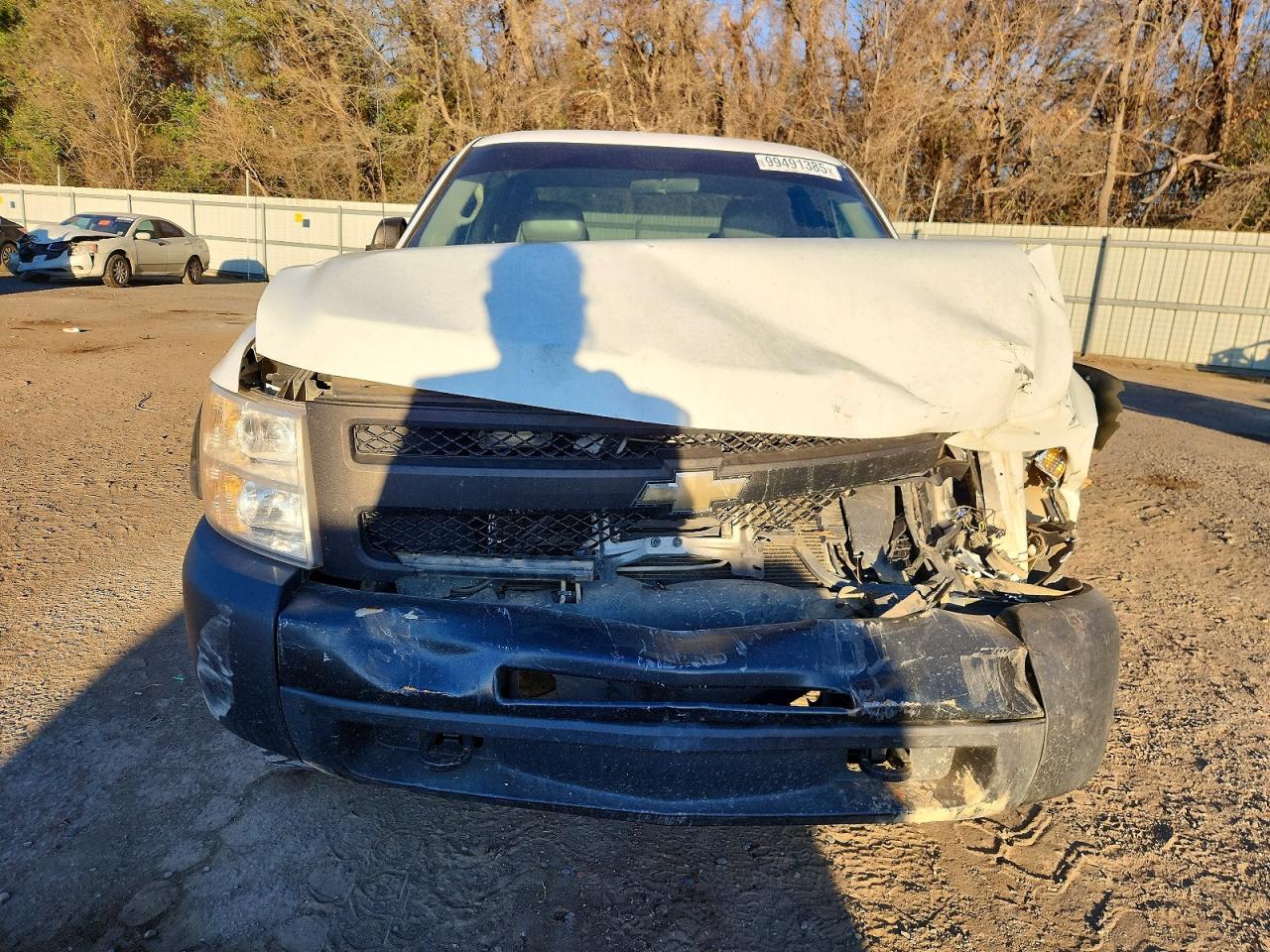 2010 CHEVROLET SILVERADO K1500 photo 9