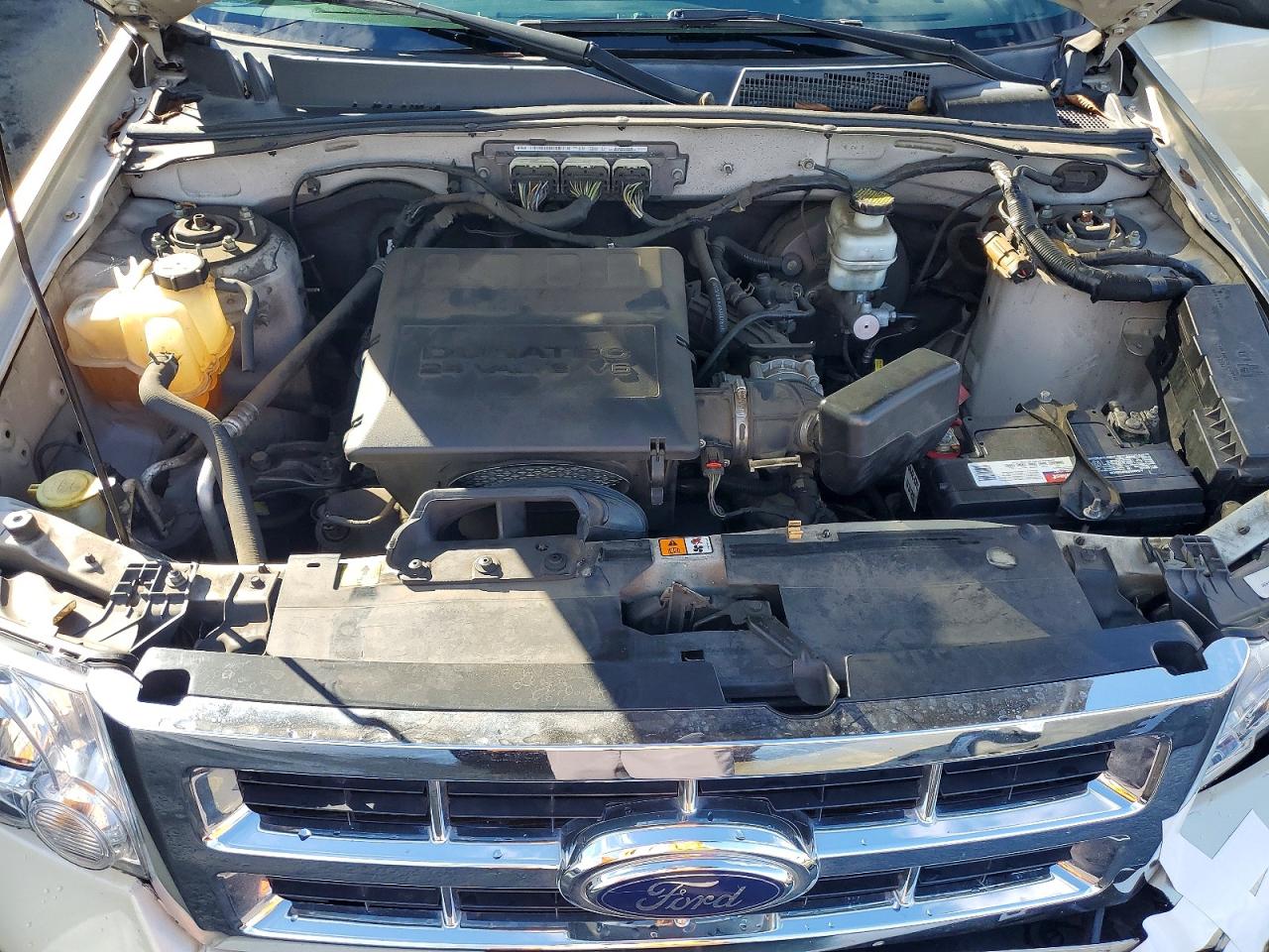 2010 FORD ESCAPE XLT photo 12