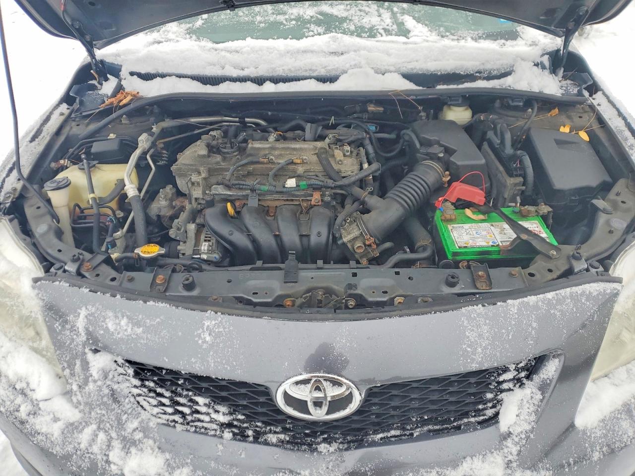 2010 TOYOTA COROLLA BASE photo 11