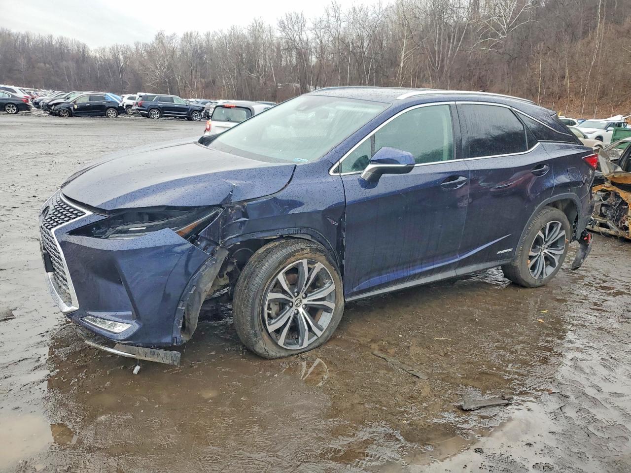 2022 LEXUS RX