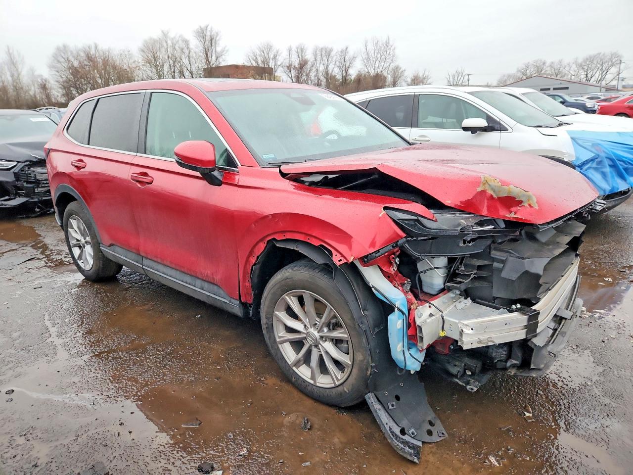 2024 HONDA CR-V EXL photo 4