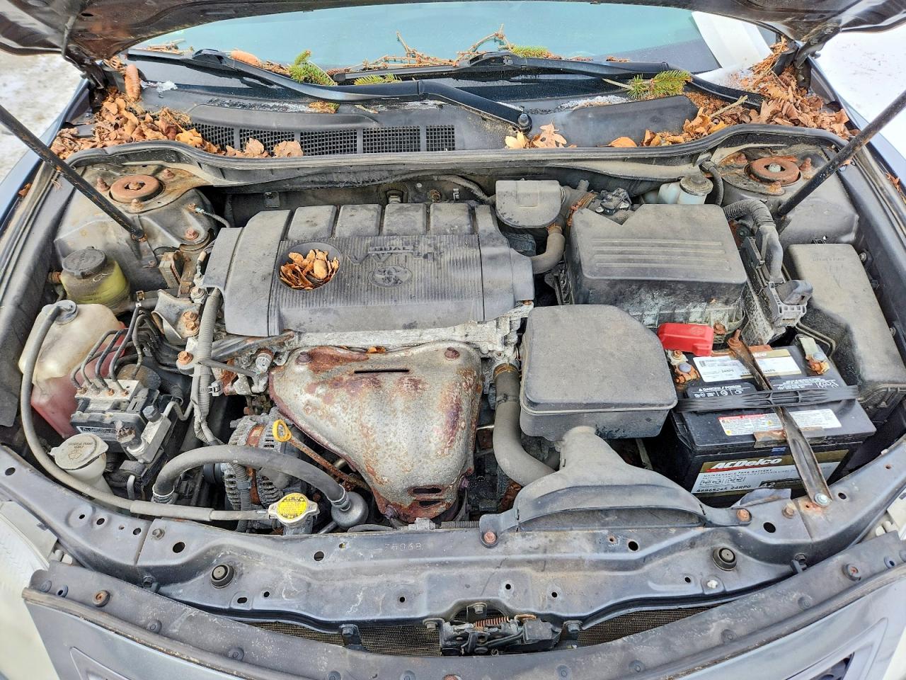 2010 TOYOTA CAMRY BASE photo 31