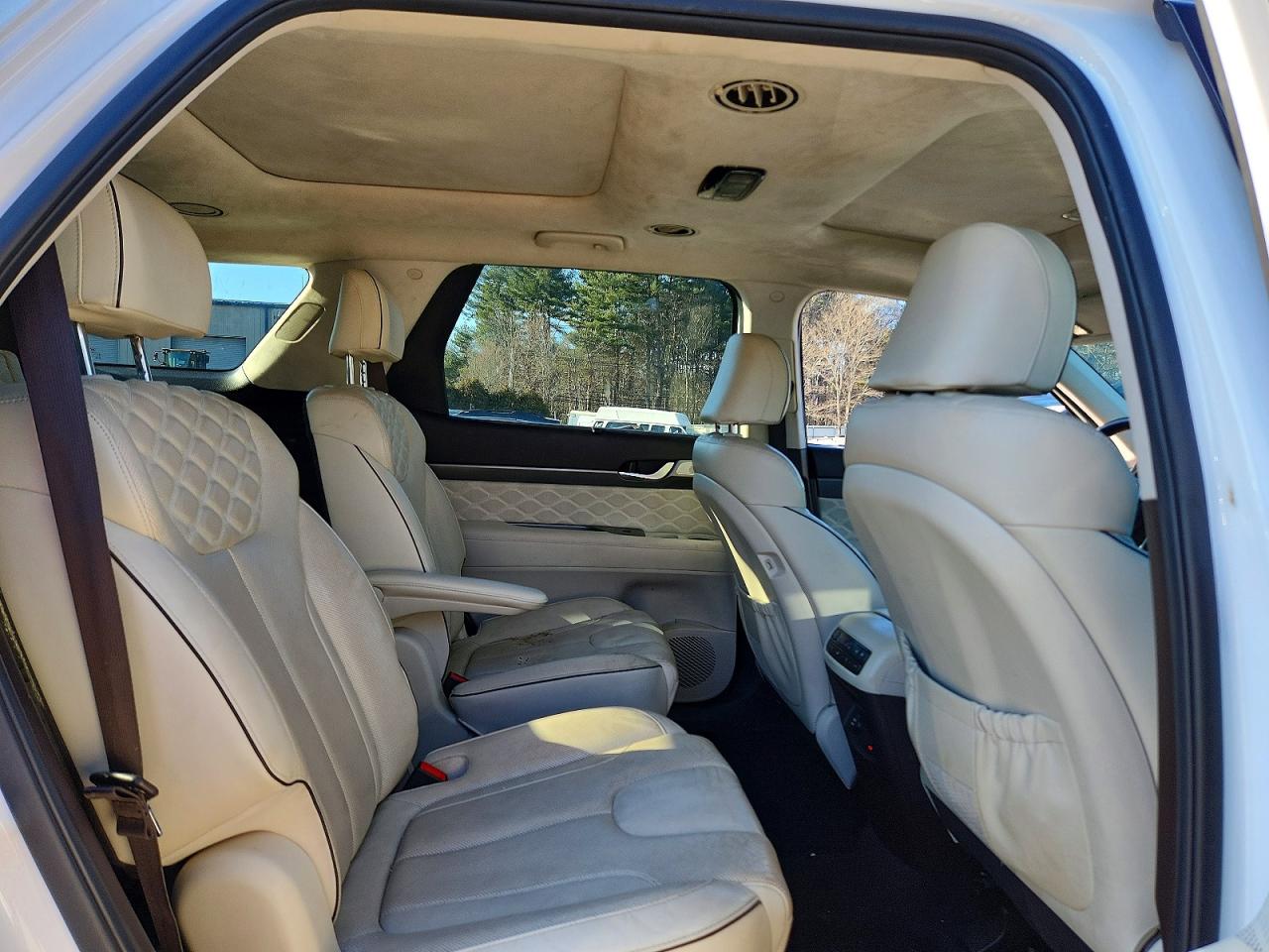2020 HYUNDAI PALISADE LIMITED photo 11