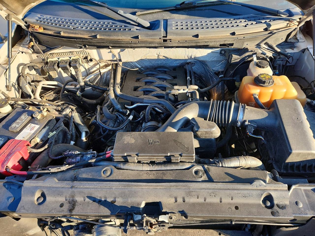 2011 FORD F150 SUPERCREW photo 11