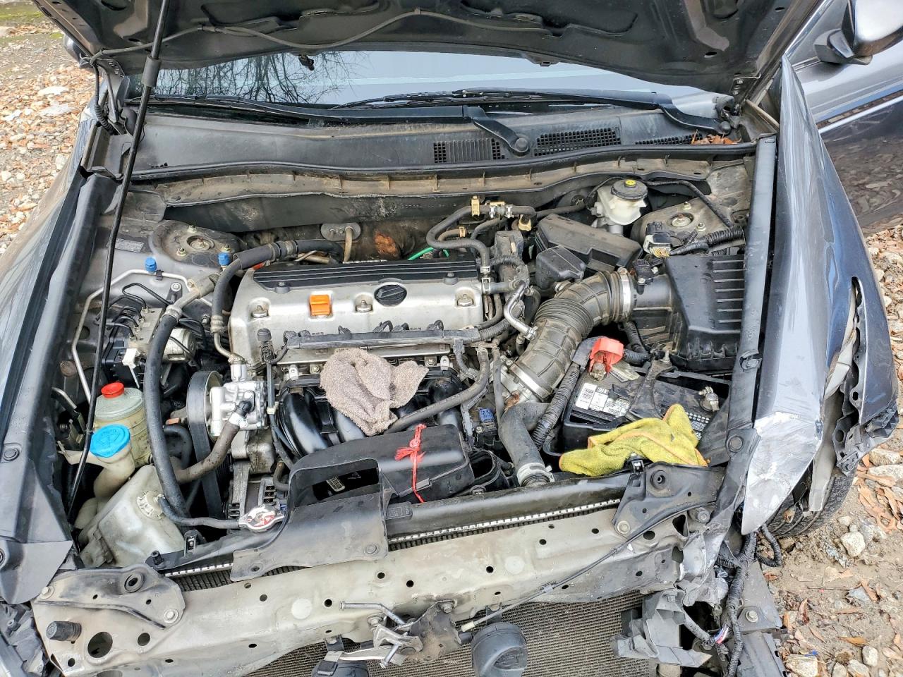 2010 HONDA ACCORD LXP photo 11