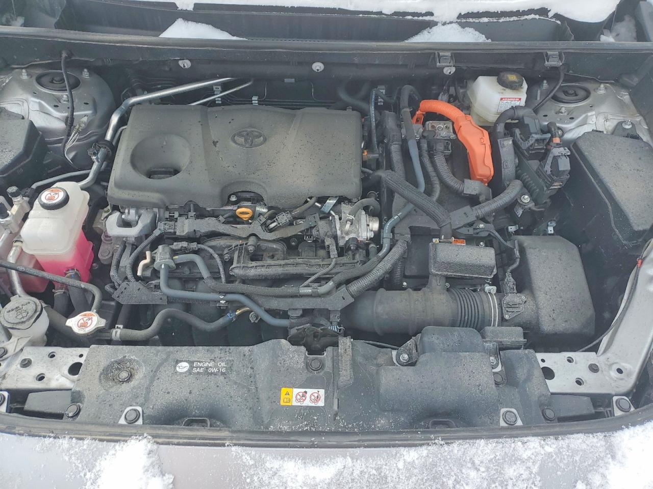 2024 TOYOTA RAV4 XLE photo 12