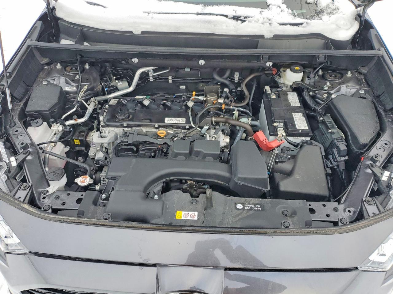 2024 TOYOTA RAV4 XLE photo 12
