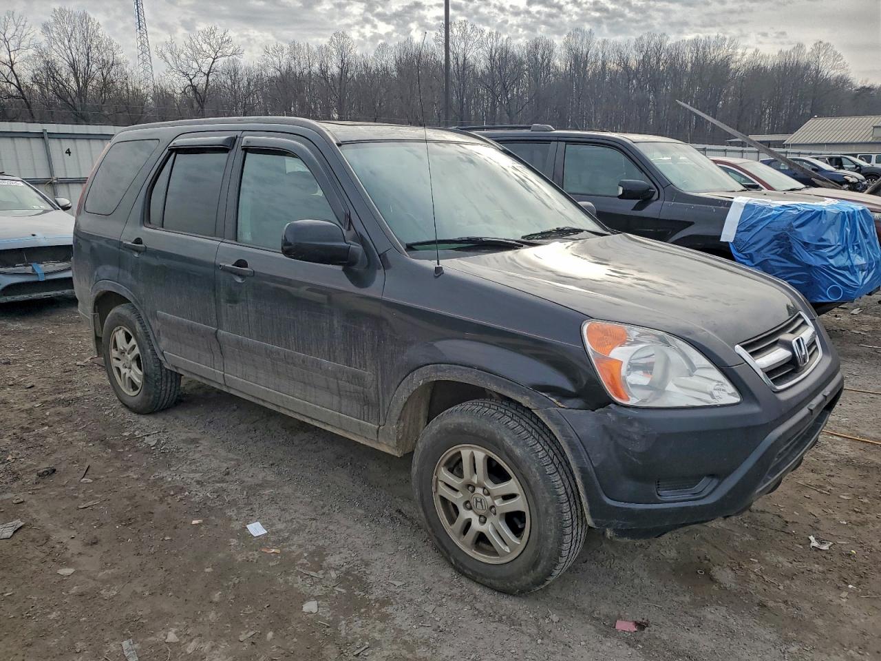 2004 HONDA CR-V EX photo 4