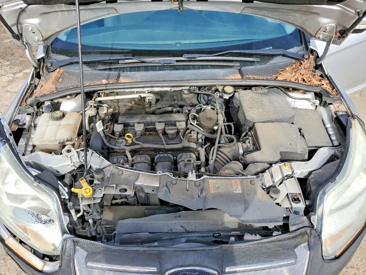 2014 FORD FOCUS SE photo 11