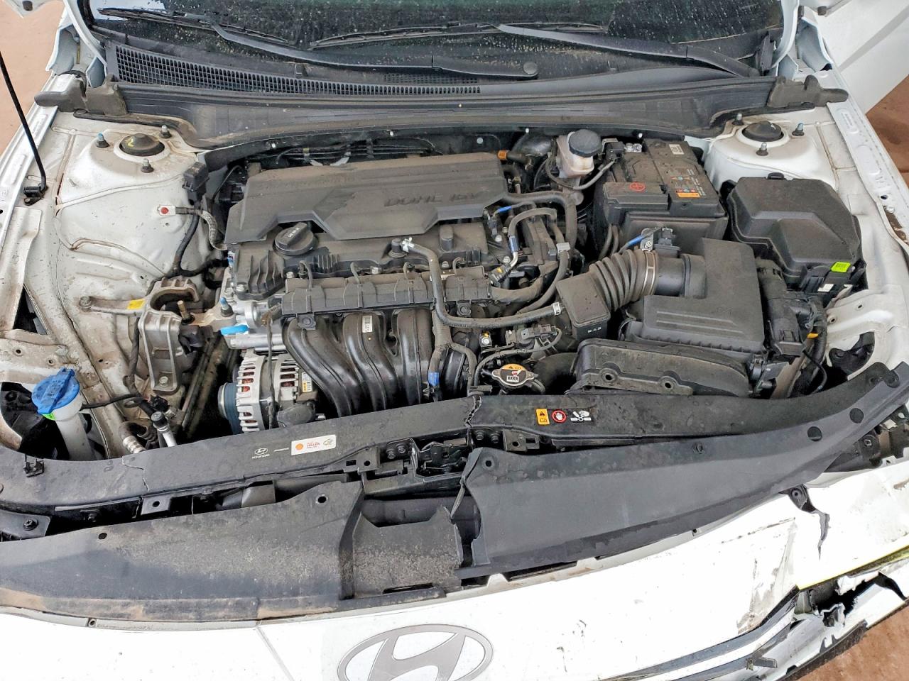 2025 HYUNDAI ELANTRA LIMITED photo 11