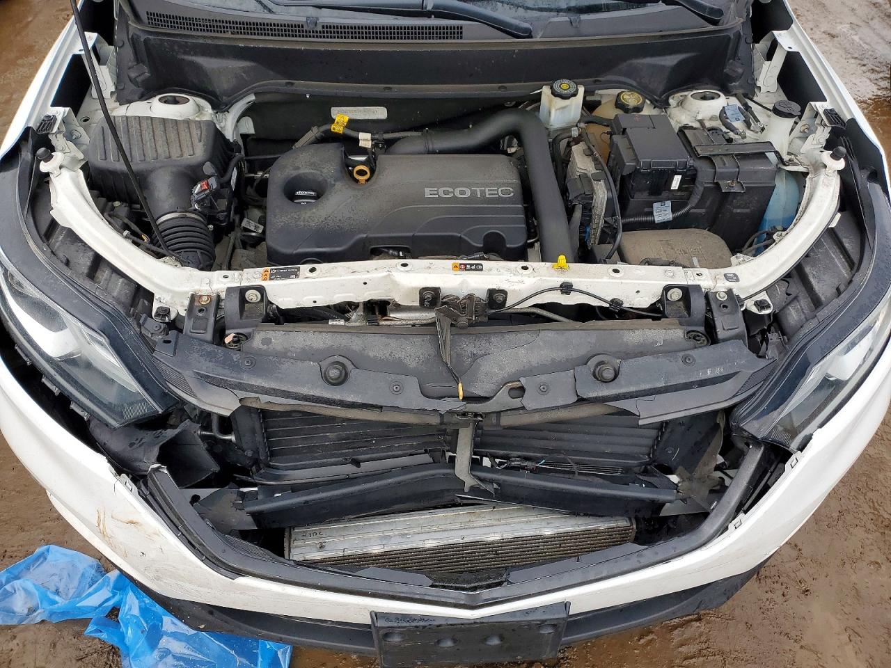2019 CHEVROLET EQUINOX LS photo 11