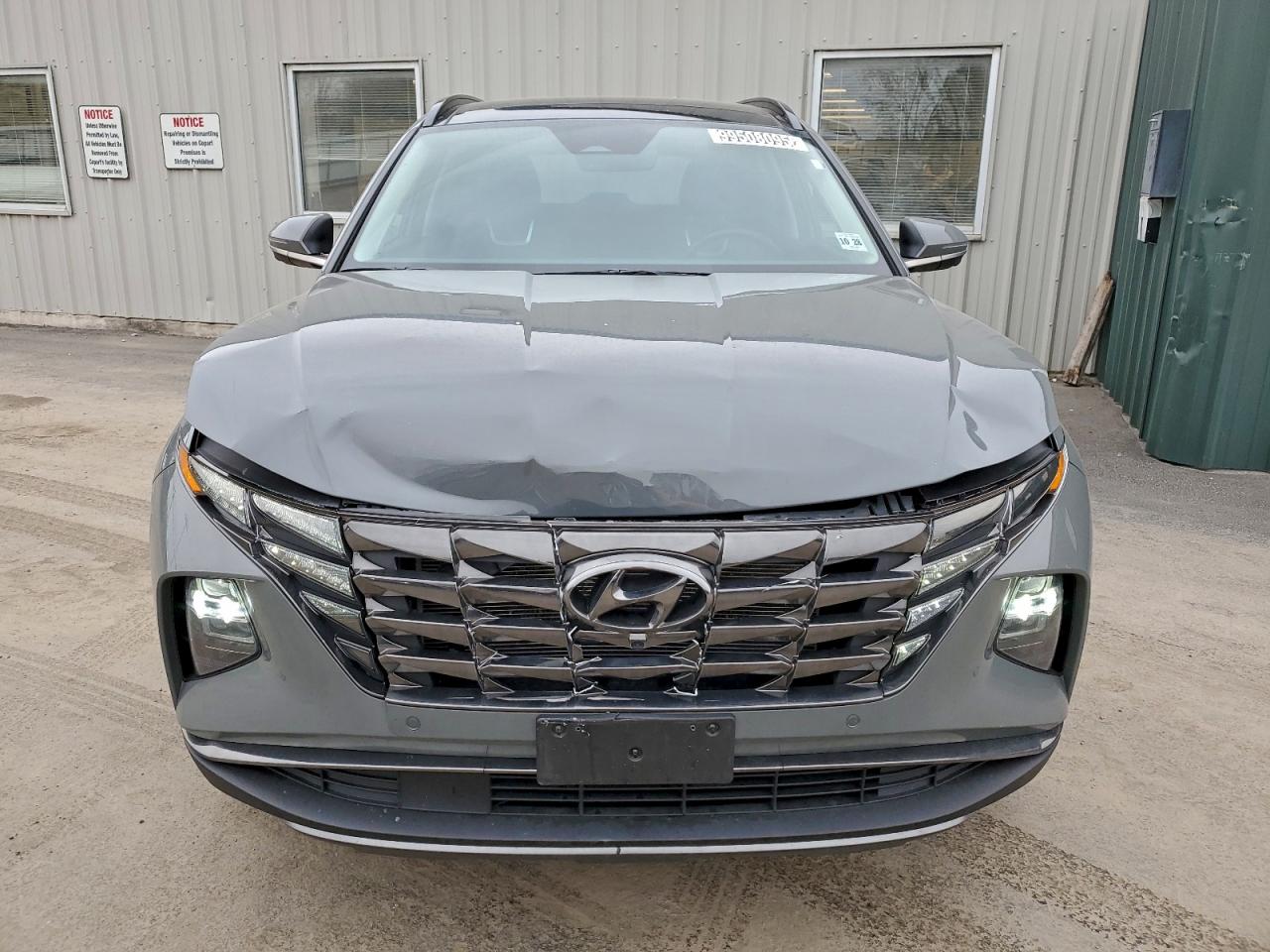 2024 HYUNDAI TUCSON LIMITED photo 5