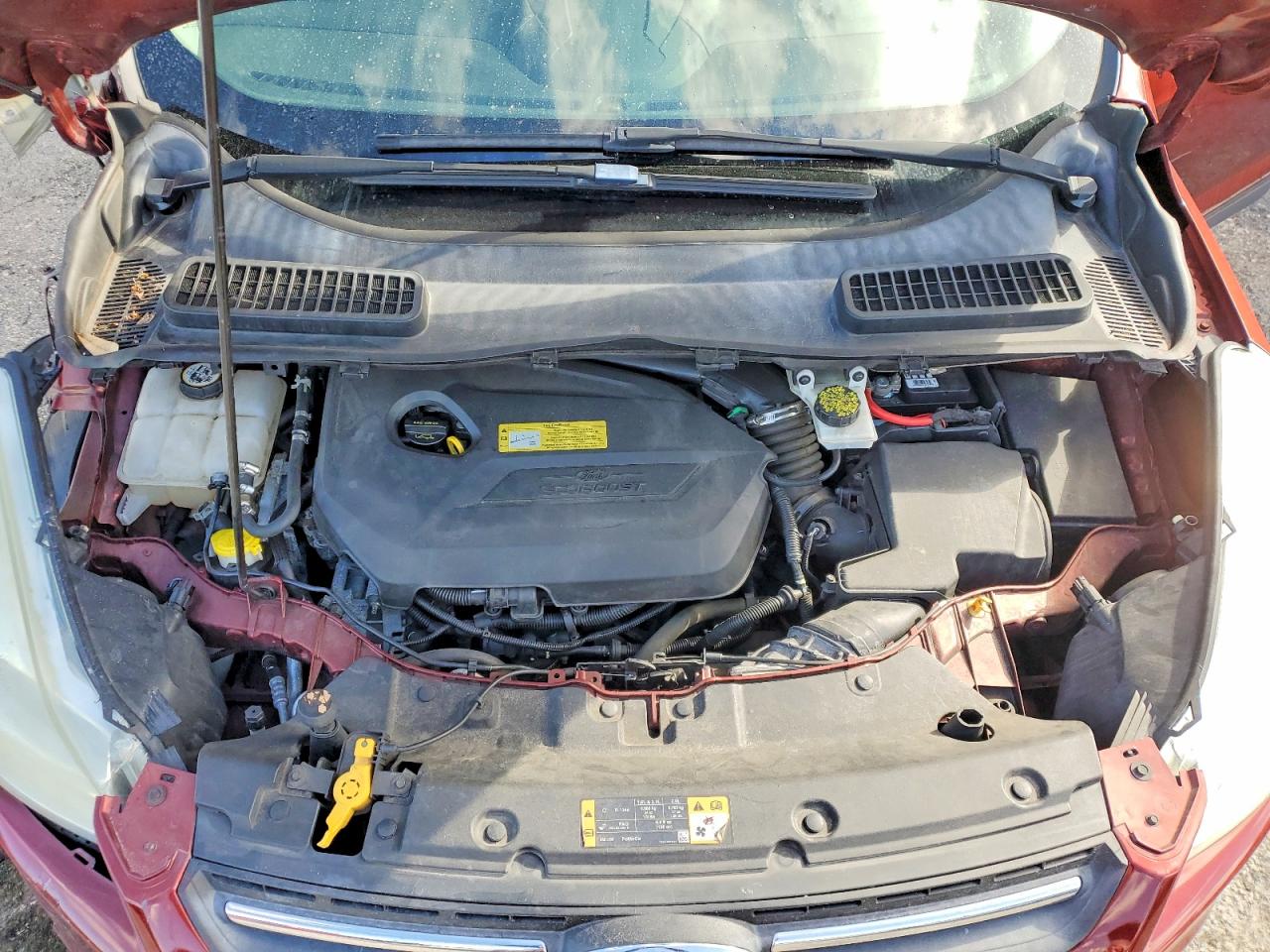 2014 FORD ESCAPE SE photo 12