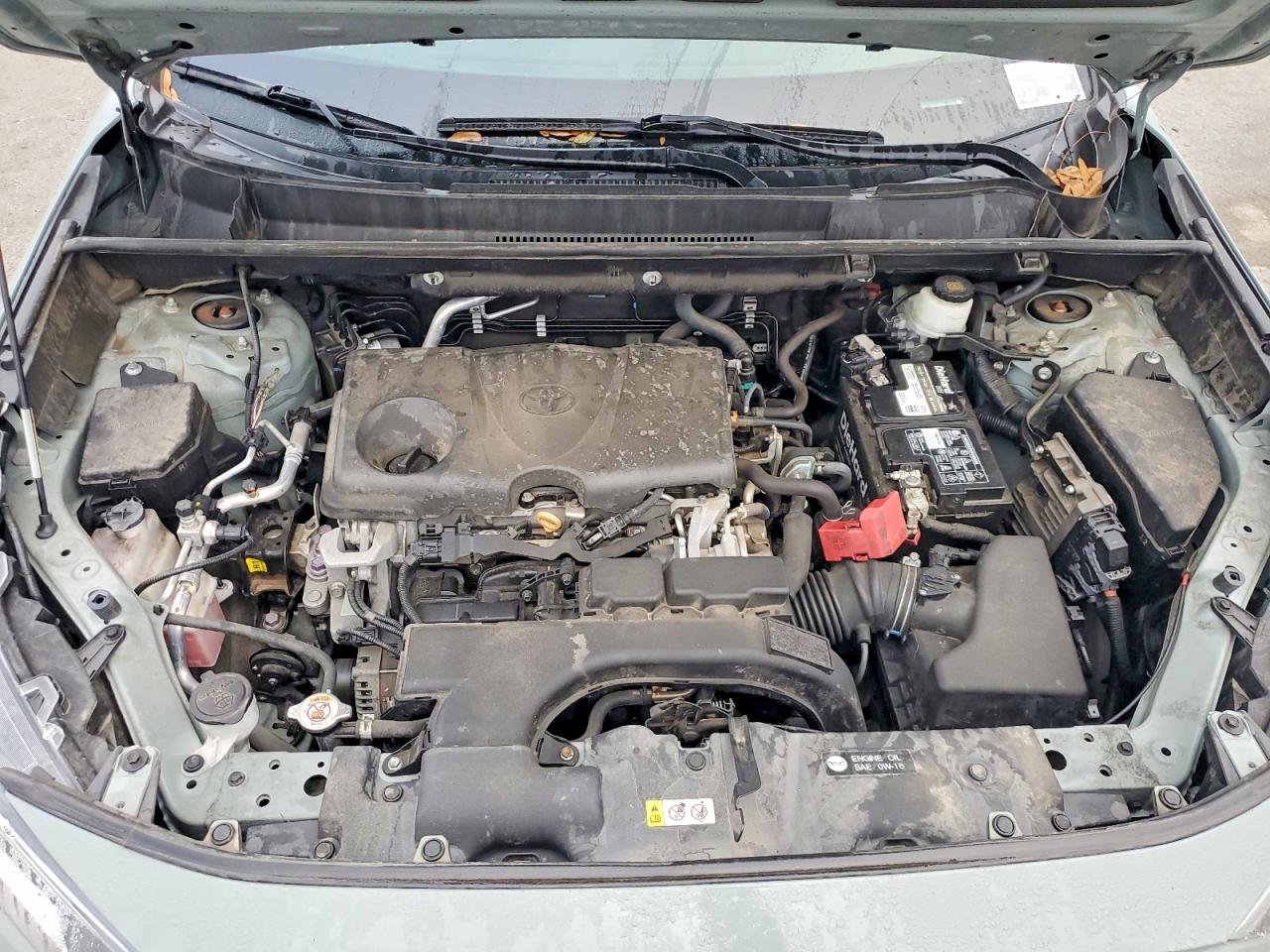 2021 TOYOTA RAV4 XLE photo 12