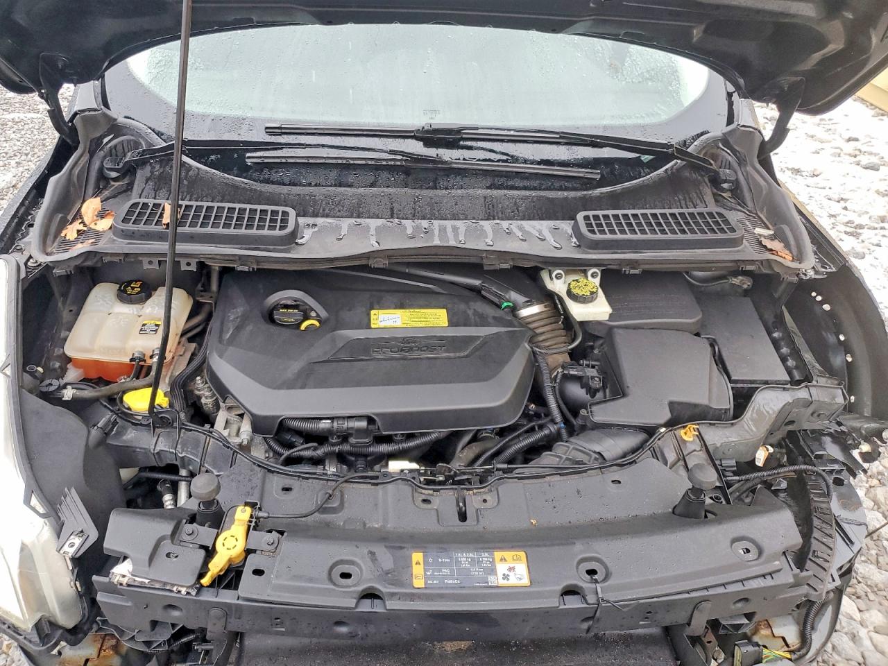 2013 FORD ESCAPE SE photo 12