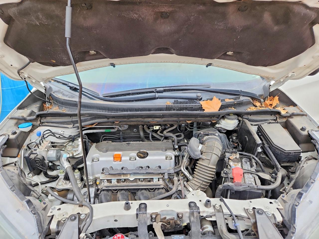 2014 HONDA CR-V LX photo 12